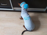 Dachshund Angel Costume Sweater and Hat,knitted dachshund clothes sweater and hat, dachshund suit sweater and hat