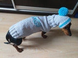 Dachshund Angel Costume Sweater and Hat,knitted dachshund clothes sweater and hat, dachshund suit sweater and hat