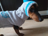 Dachshund Angel Costume Sweater and Hat,knitted dachshund clothes sweater and hat, dachshund suit sweater and hat