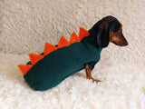 Dinosaur dragon  dog sweater zoo animal dog clothes
