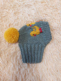 Ducks knitted hat for dogs, clothes for dogs with ducks