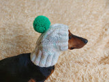 Clothes for dogs handmade knitted hat with pompon