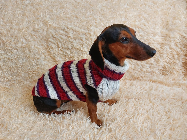 Dachshund clothes knitted sweater, knitted wool sweater for