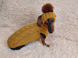 Doxie dachshund costume sweater and hat, knitwear set for dachshund sweater and hat