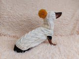 Costume for miniature dachshund sweater and hat, Doxie sweater and hat set, clothes for small dog of dachshund
