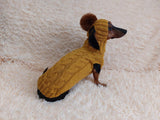 Doxie dachshund costume sweater and hat, knitwear set for dachshund sweater and hat