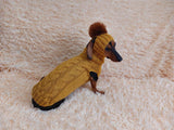 Doxie dachshund costume sweater and hat, knitwear set for dachshund sweater and hat