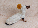 Costume for miniature dachshund sweater and hat, Doxie sweater and hat set, clothes for small dog of dachshund