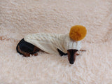 Costume for miniature dachshund sweater and hat, Doxie sweater and hat set, clothes for small dog of dachshund