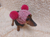 Pet hat with two pompoms, dog dachshund warm clothes outfit hat with pompoms