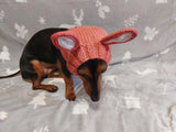 Rabbit snood hat for dog hare