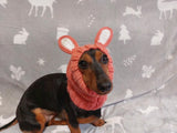 Rabbit snood hat for dog hare