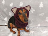 Snood hat for dog wolf