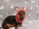 Rabbit snood hat for dog hare