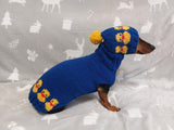 Dog costume with ducks, sweater and hat set for dachshund with ducks