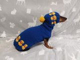 Dog costume with ducks, sweater and hat set for dachshund with ducks