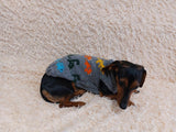 Dinosaurs clothes for pet animal sweater with dinosaurs,dog jumper with dinosaurs