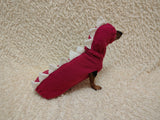 Dachshund Halloween Dinosaur Outfit Costume Sweater and Hat