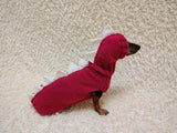 Dachshund Halloween Dinosaur Outfit Costume Sweater and Hat