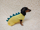 Dachshund Halloween Dinosaur Outfit Costume Sweater and Hat-dino pet cloches jamper