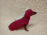 Dachshund Halloween Dinosaur Outfit Costume Sweater and Hat