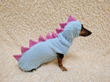 Dachshund Halloween Dinosaur Outfit Costume Sweater and Hat