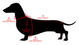 Winter Outfit for Dog Wool Warm Coat dachshundknit