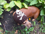 Halloween hat for dog with skull and cross bones