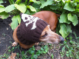 Halloween hat for dog with skull and cross bones