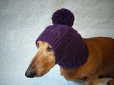 Warm hat for dog or cat, hat for a dog, hat for small dog, hat for dachshund, knitted hat, warm ears of dog dachshundknit