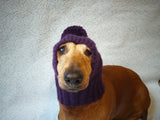 Warm hat for dog or cat, hat for a dog, hat for small dog, hat for dachshund, knitted hat, warm ears of dog dachshundknit