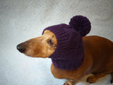Warm hat for dog or cat, hat for a dog, hat for small dog, hat for dachshund, knitted hat, warm ears of dog dachshundknit