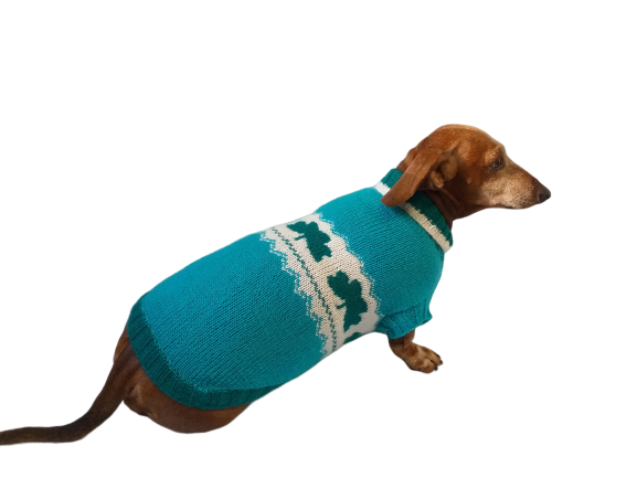 St patrick's hotsell day dog sweaters