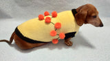 Sweater for a dog lot of pompons, sweater Halloween for dog dachshundknit