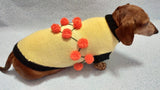 Sweater for a dog lot of pompons, sweater Halloween for dog dachshundknit