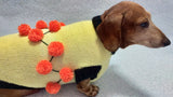 Sweater for a dog lot of pompons, sweater Halloween for dog dachshundknit