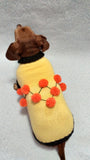 Sweater for a dog lot of pompons, sweater Halloween for dog dachshundknit