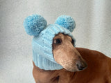 Blue hat for dog with two pompons, hat for dachshund with two pompons dachshundknit