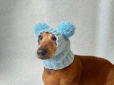 Blue hat for dog with two pompons, hat for dachshund with two pompons dachshundknit