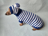 Costume for miniature dachshund sweater and hat, Doxie sweater and hat set, clothes for small dog of dachshund