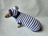 Costume for miniature dachshund sweater and hat, Doxie sweater and hat set, clothes for small dog of dachshund
