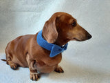 Bow collar for dog or cat - dachshundknit
