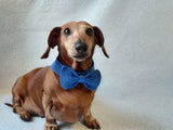 Bow collar for dog or cat - dachshundknit
