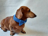 Bow collar for dog or cat - dachshundknit