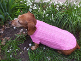 Pink knitted sweater for small dog, clothes for dachshunds dachshundknit