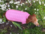 Pink knitted sweater for small dog, clothes for dachshunds dachshundknit
