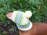 Warm winter hat with pompom for small dog