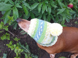 Warm winter hat with pompom for small dog