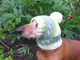 Warm winter hat with pompom for small dog