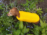 Yellow knitted sweater for dachshund or small dog dachshundknit